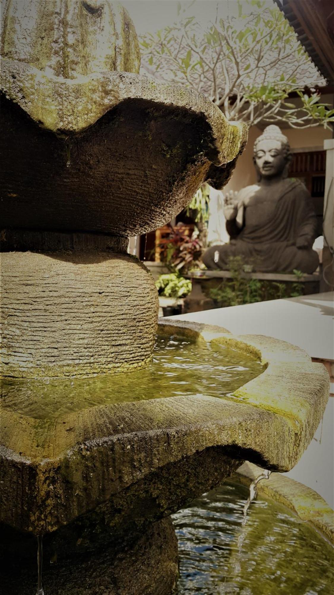 Hotel Sahadewa House Ubud Exteriér fotografie